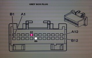 GREY.jpg
