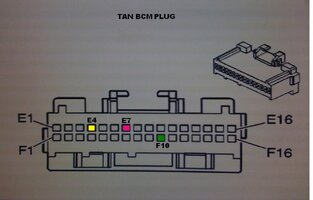 TAN.jpg