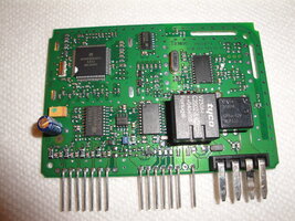 DSC01453.jpg