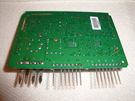 DSC01458.jpg